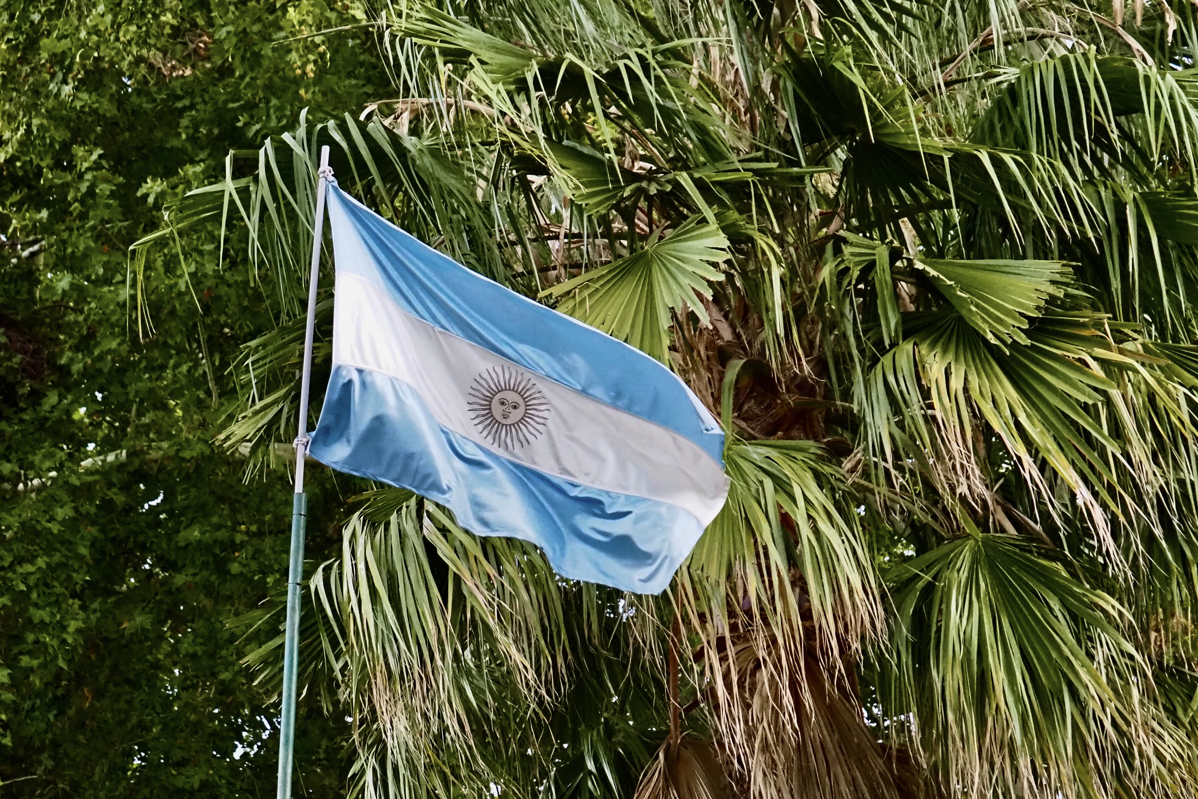 Argentine