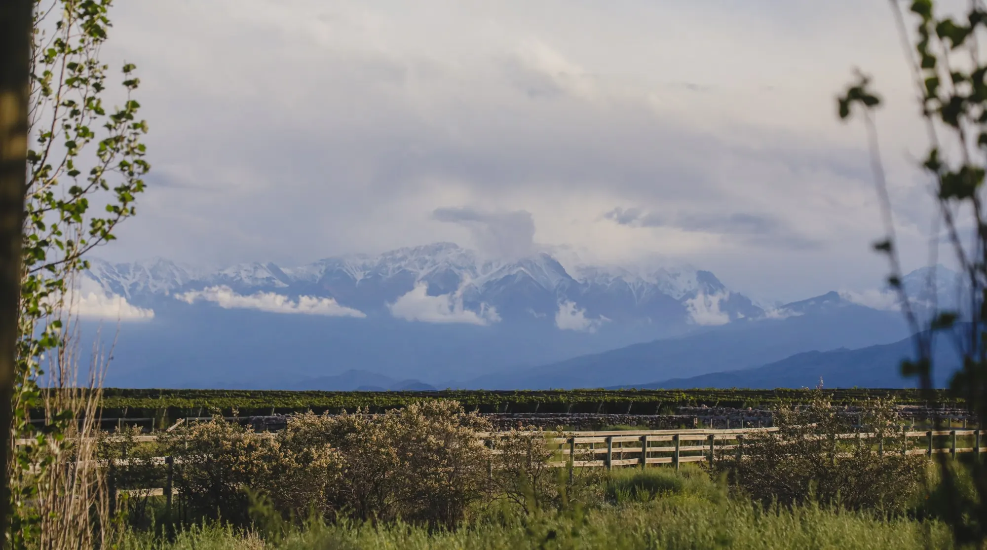 Cordillère des Andes enneigée prise dans les nuages, vignoble et clôture en bois au premier plan